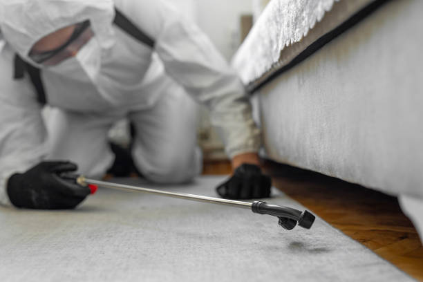 Professional Bed Bug Control technician working in Brown County County, IL